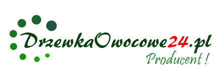 Drzewkaowocowe24 - Sadzonki drzew owocowych