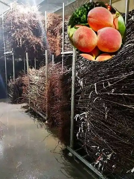 Zestawy